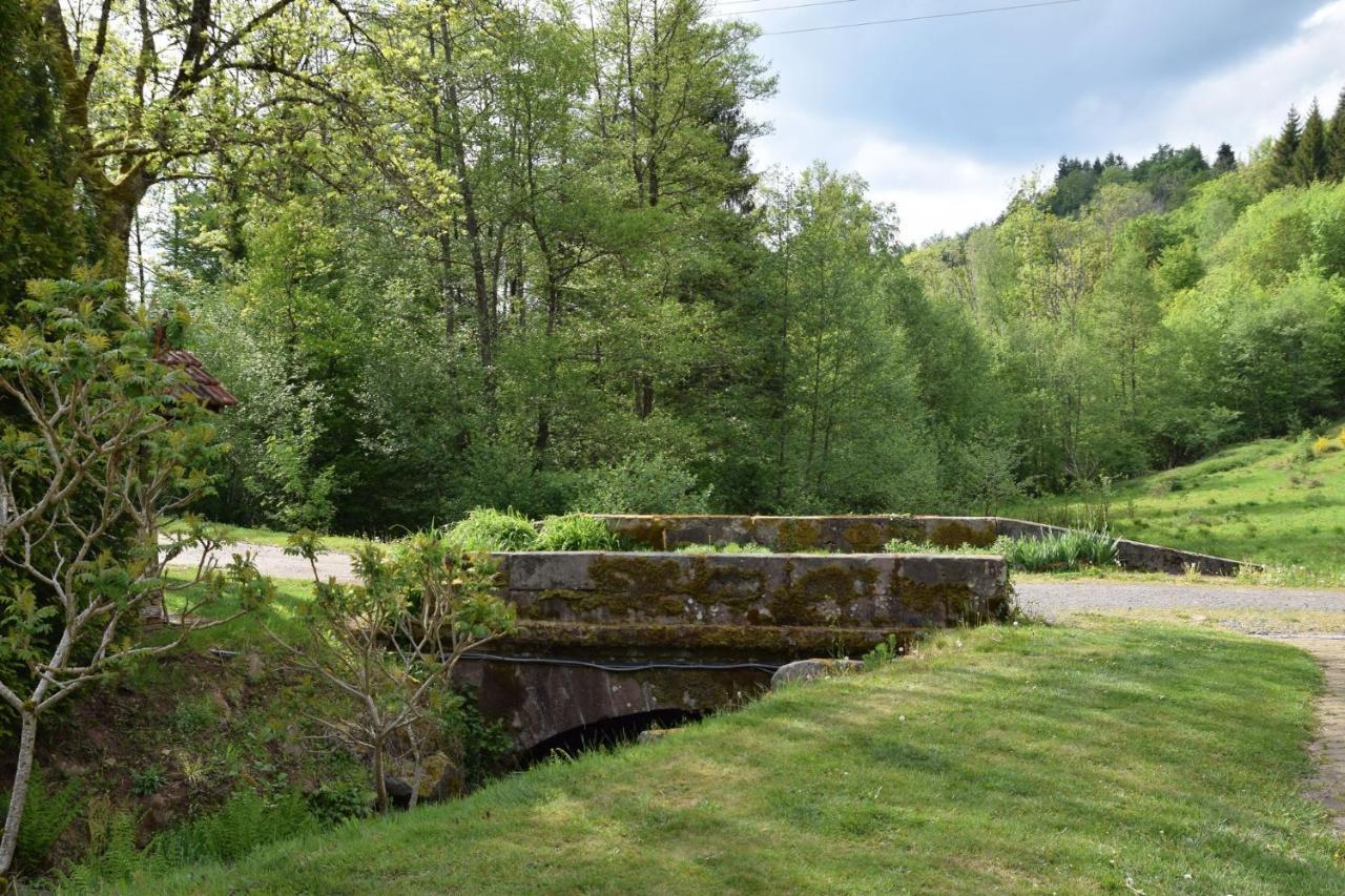 Vacance Conviviales Dans Les Vosges 8 Gites Ban-de-Sapt Dış mekan fotoğraf