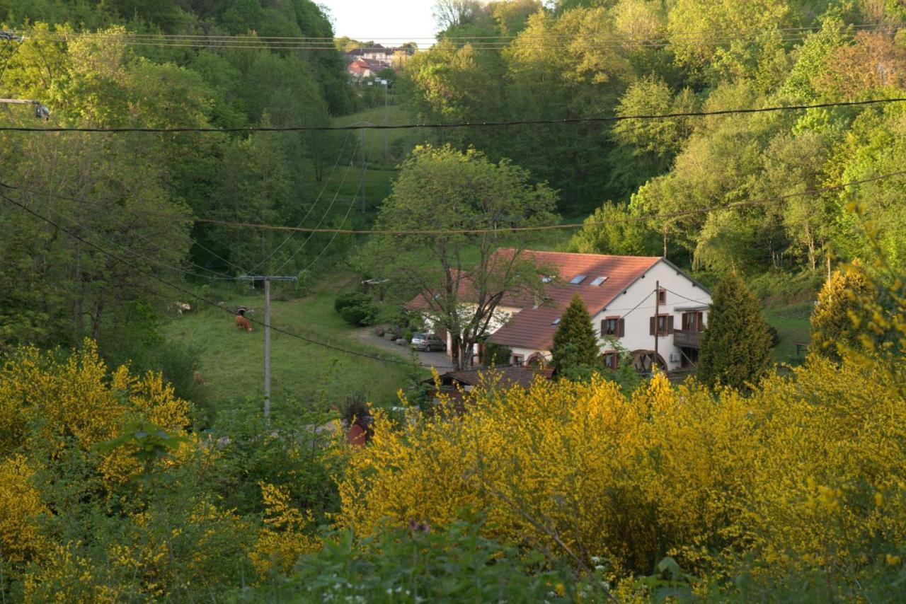 Vacance Conviviales Dans Les Vosges 8 Gites Ban-de-Sapt Dış mekan fotoğraf