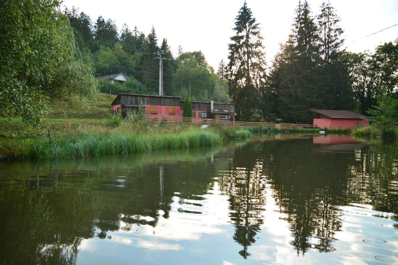 Vacance Conviviales Dans Les Vosges 8 Gites Ban-de-Sapt Dış mekan fotoğraf