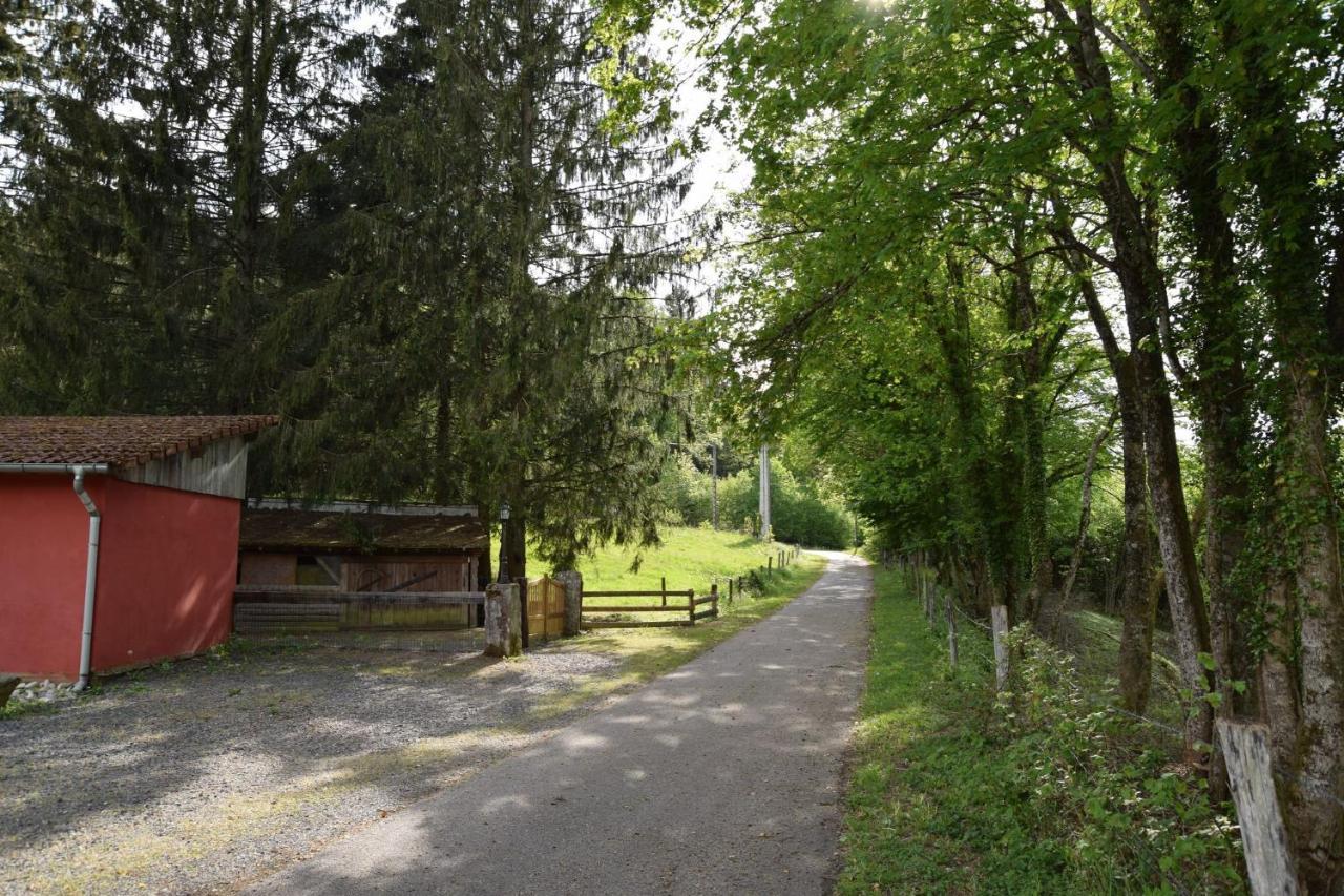 Vacance Conviviales Dans Les Vosges 8 Gites Ban-de-Sapt Dış mekan fotoğraf